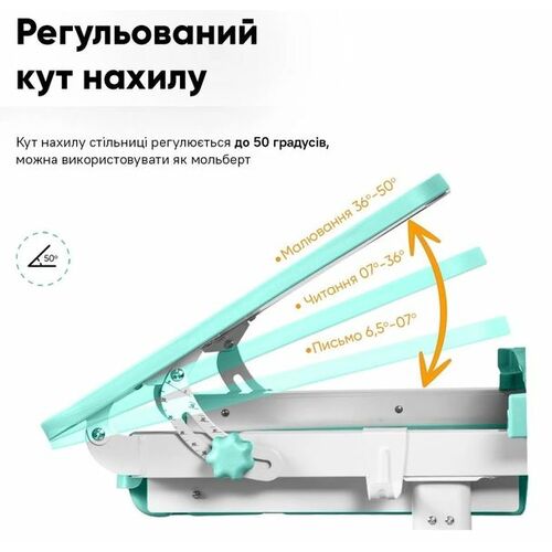 Комплект парта та стілець-трансформери Evo-kids (стілець + стіл + полиця + лампа) BD-04 Z (XL) Teddy Green з лампою - Фото №6