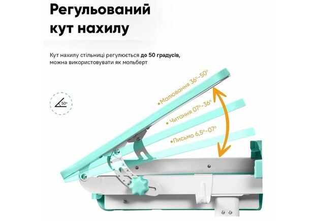 Комплект парта та стілець-трансформери Evo-kids (стілець + стіл + полиця + лампа) BD-04 Z (XL) Teddy Green з лампою - Фото №2