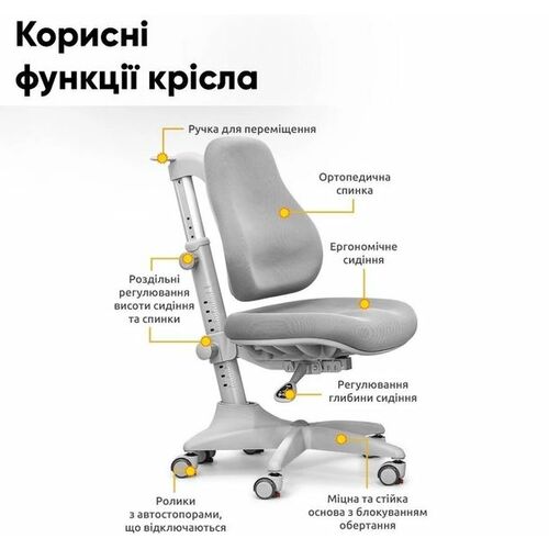 Комплект парта Evo-kids Florida Multicolor G + крісло Mealux Match G (Evo-52 WG + G +Y-528 G) - Фото №6