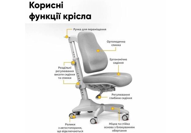 Комплект парта Evo-kids Florida Multicolor G + крісло Mealux Match G (Evo-52 WG + G +Y-528 G) - Фото №2