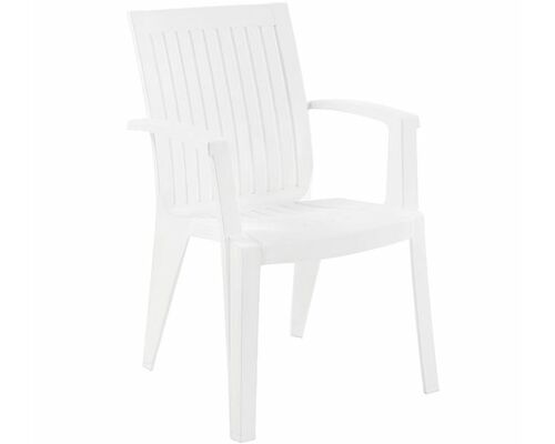 Кресло пластиковое для сада Ализе белое 01 - Фото №1