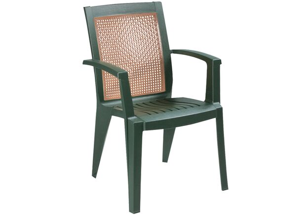 Кресло для сада Сапфир зеленое 05 - Фото №1