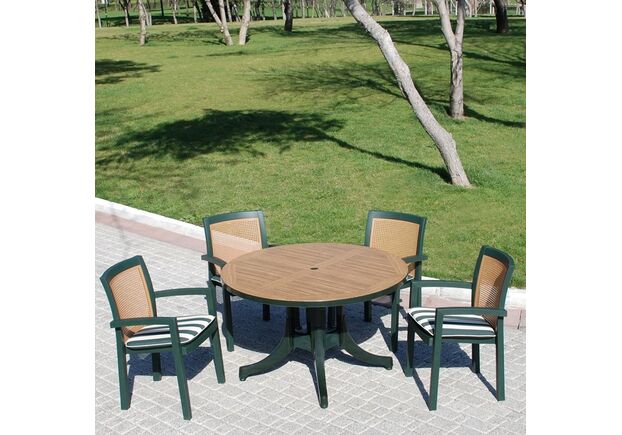 Стол для сада Дива d120 см зеленый 05 декорированный под дерево - Фото №2
