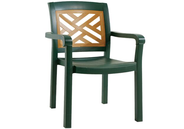 Кресло для сада Адмирал  зеленое 05 - Фото №1