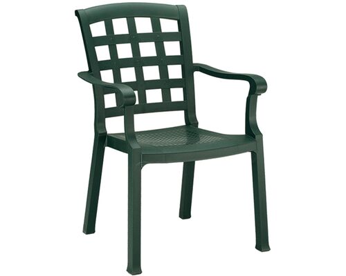 Кресло для сада Паша зеленое 05 - Фото №1